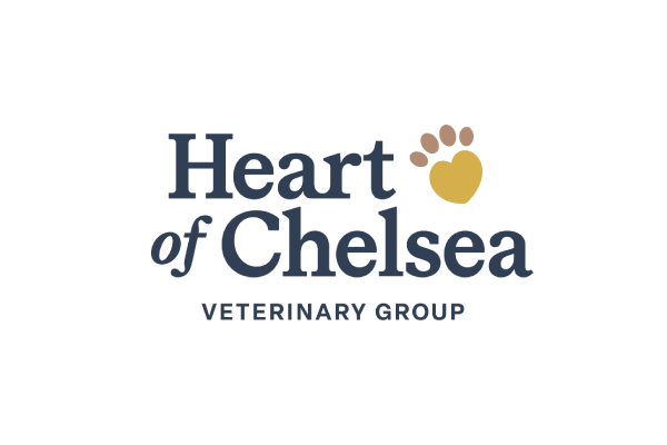 HeartofChelsea Sponsor logo web 2026Small