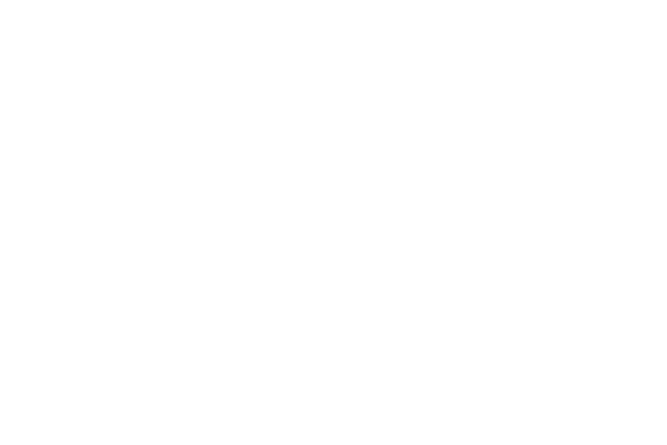 Lucid Motors 600 Sponsor logo web 2026Med